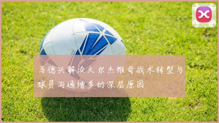 马德兴解读久尔杰维奇战术转型与球员沟通增多的深层原因